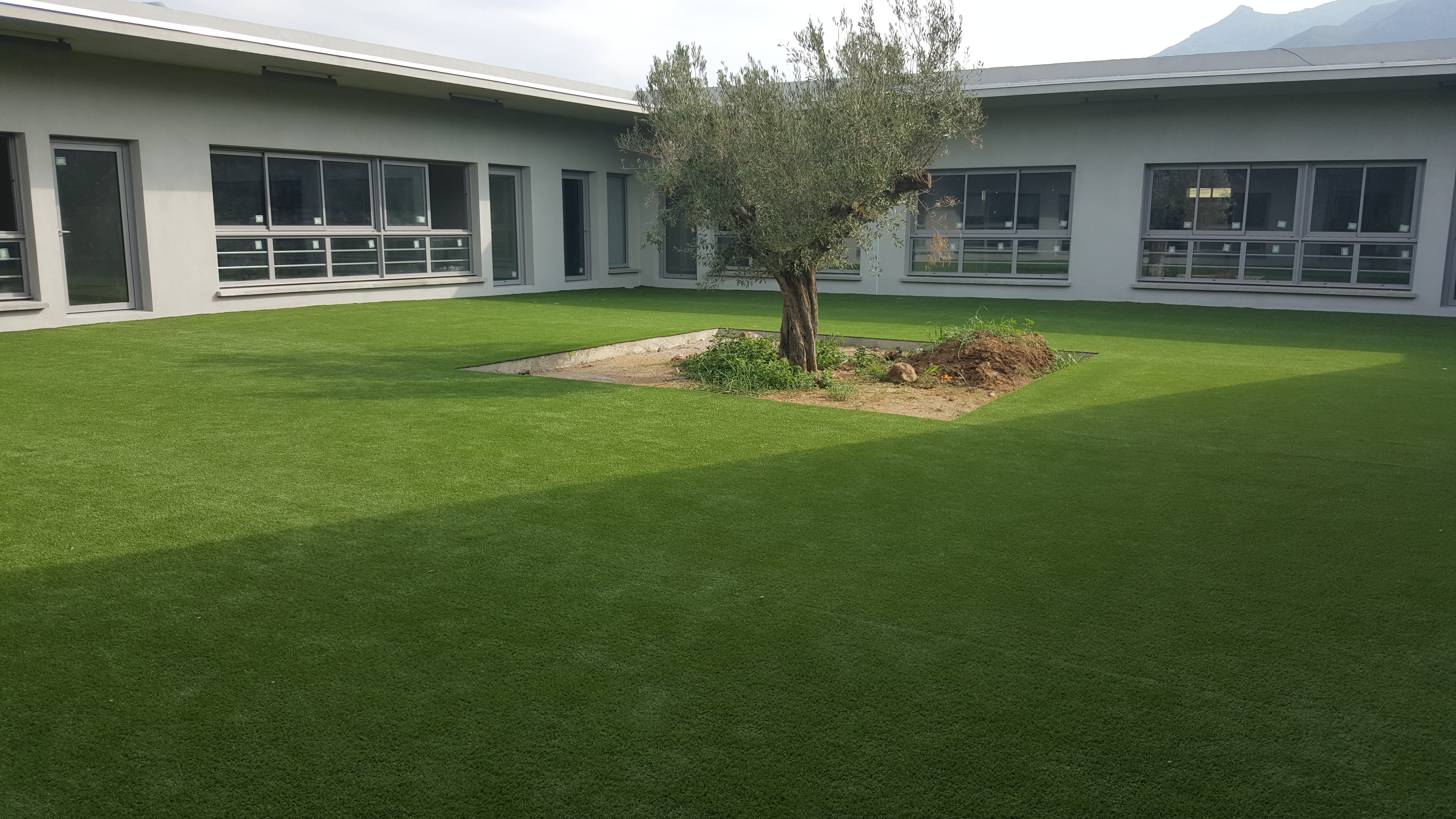 Synthetic Grass Maintenance